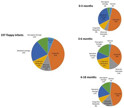 The Role of Muscle Biopsy in Diagnostic Process of Infant Hypotonia: From Clinical Classification to the Genetic Outcome